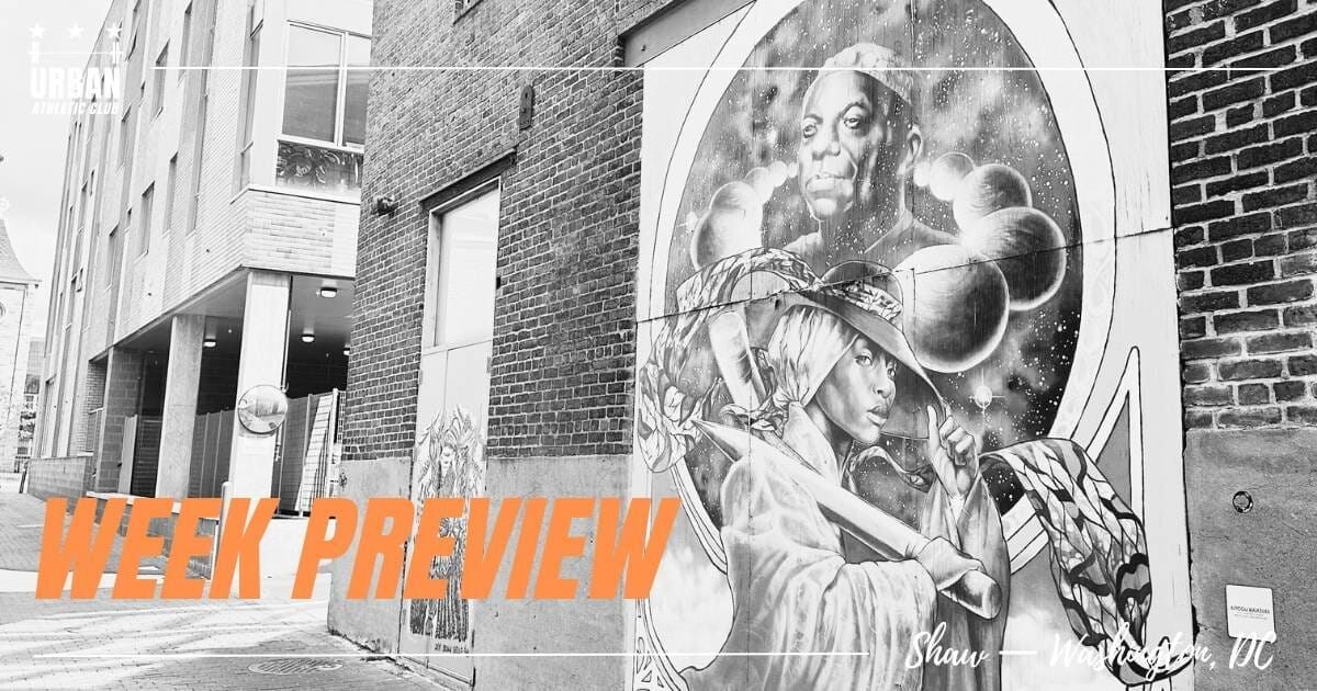 Mural in Vlagden Alley in DC, one block from Urban Athletic Club